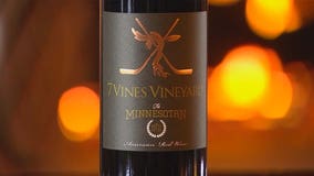 7 Vines Vineyard in Dellwood launches 'The Minnesotan' wine