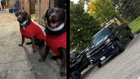 2 dogs inside stolen truck found safe, reward turns into donation made