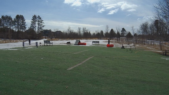 Plymouth's new 'Brew Park' to offer indoor dog park, coffee and wine bar