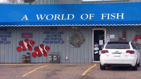 'A World of Fish': Richfield tropical fish store owners ready for retirement