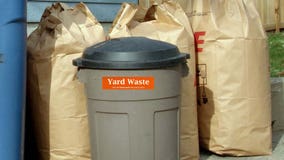 Yard waste collection in Minneapolis: What to know