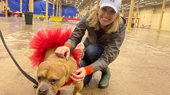 Animal Humane Society's Walk for Animals at Minnesota State Fairgrounds