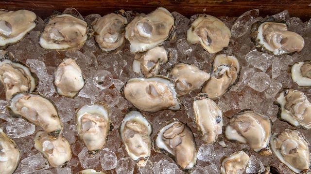 Health officials: Do not eat raw oysters from British Columbia bay