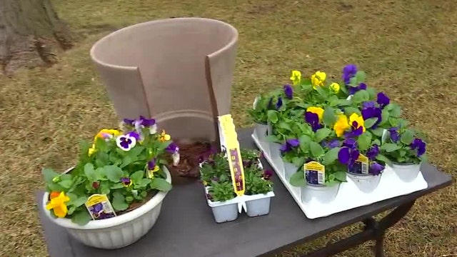 Garden Guy: Dale K has your April gardening checklist