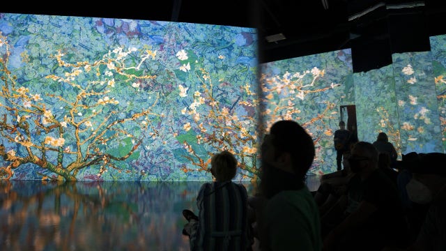 Minneapolis, St. Paul teachers can get free tickets to Van Gogh exhibit