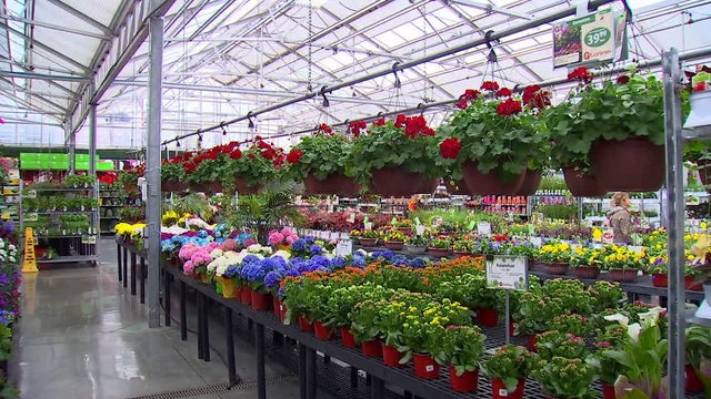 Minnesota gardening season off to a rough start due to cold weather