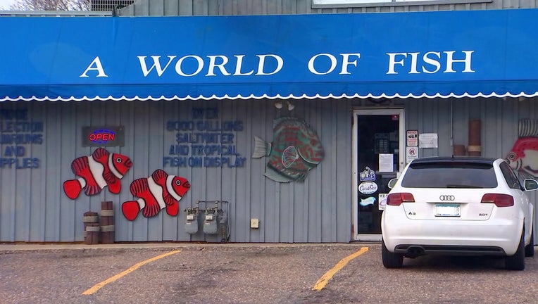 Tropical sales fish world