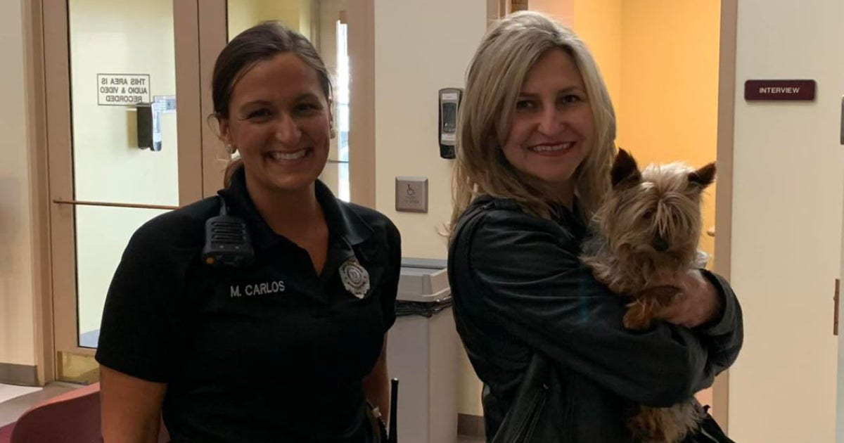 Stolen dog reunited with family 11 years later thanks to animal control ...