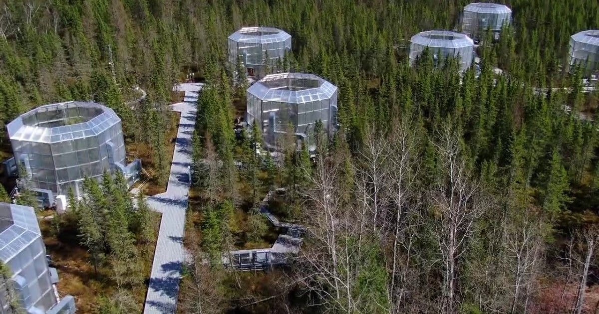 chippewa-forest-pods.jpg?ve=1&tl=1