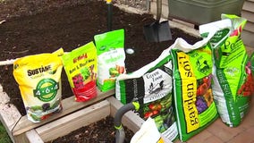 Garden Guy: Tips for planting a vegetable garden in Minnesota