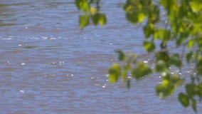 Man missing after kayak found overturned on Mississippi River in St. Cloud