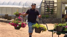 Trading jailhouse for a greenhouse: Offenders embracing spring gardening opportunity