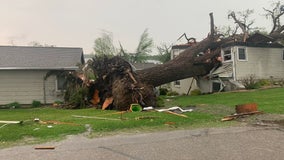 Strong storms leave behind damage across Minnesota