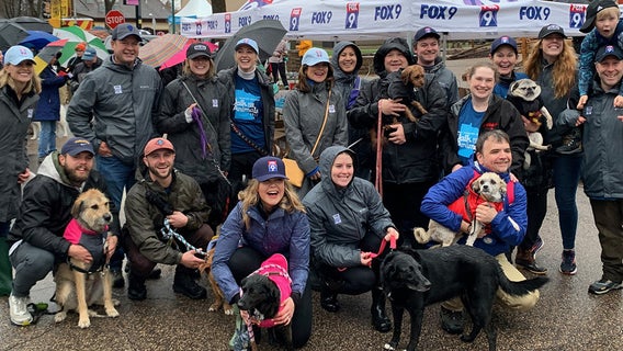Walk for Animals raises $700K for Animal Humane Society