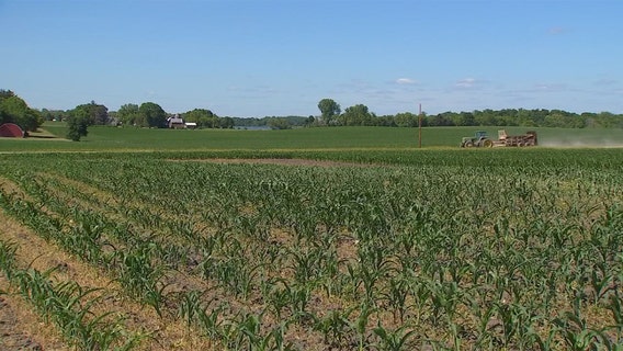 Tariff impact on MN farmers highlighted by Gov. Walz as policies begin