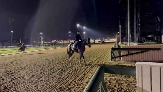 Minnesota-owned horse is odds-on favorite to win Kentucky Derby