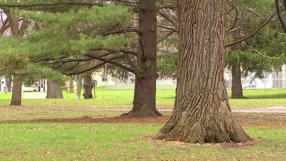 North Commons Park in Minneapolis getting $21 million dollar redevelopment