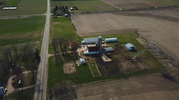 Minnesota couples farm animal sanctuary is 'little slice of Heaven'