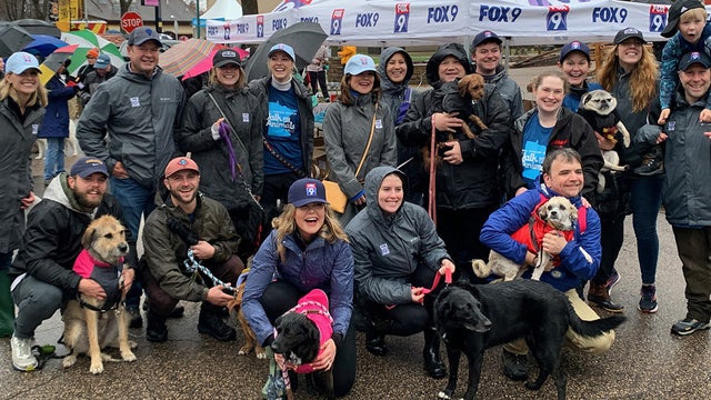 Walk for Animals raises $700K for Animal Humane Society