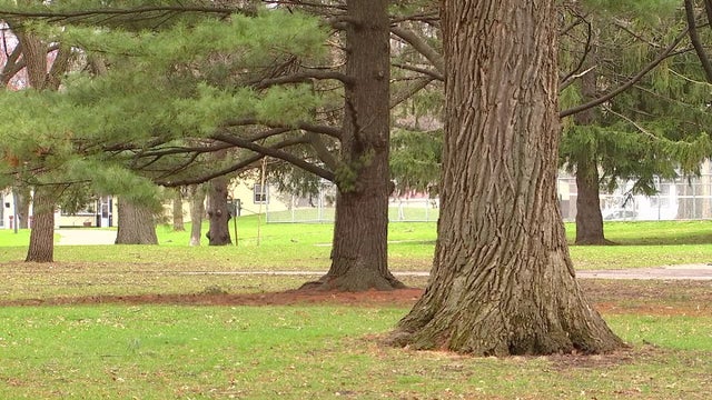 North Commons Park in Minneapolis getting $21 million dollar redevelopment