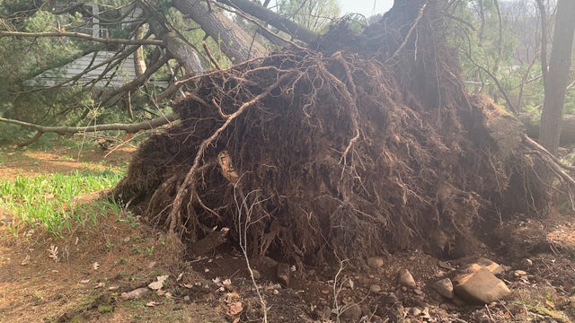 Storms damage historic home in Taylors Falls, Minn.