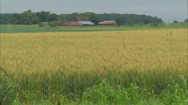 Ukrainian delegation of farmers to tour Minnesota this week