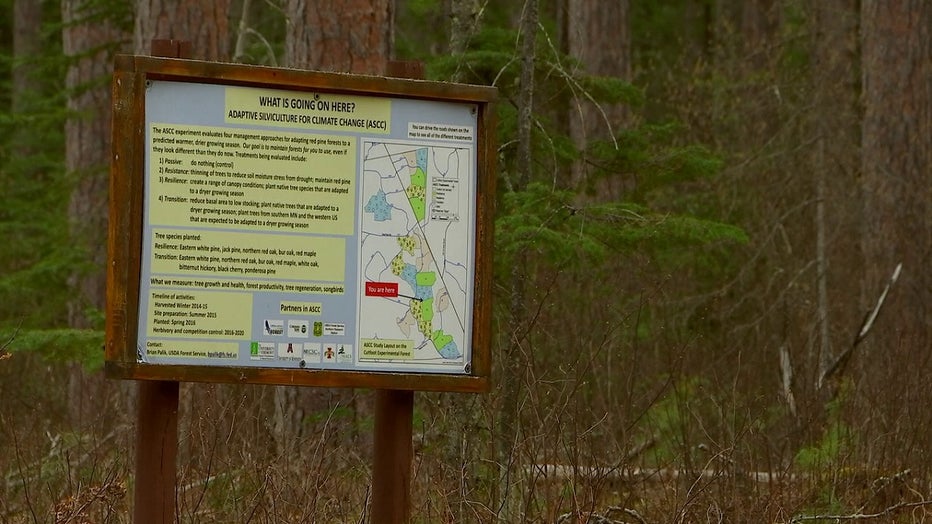 A sign at the Cutwood Experimental Forest