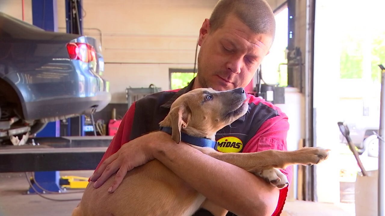 Midas mechanic rescues dog from dumpster in Shakopee