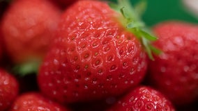 Strawberries sold at Minnesota store linked to a case of hepatitis A