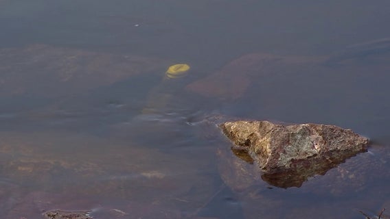 EPA to give $60M to 12 states to help curb water pollution