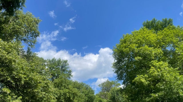 Minnesota weather: Gorgeous Monday with sunshine, low humidity