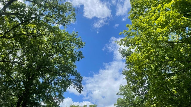 Minnesota weather: Stunning day, coolest since early June with highs in 70s