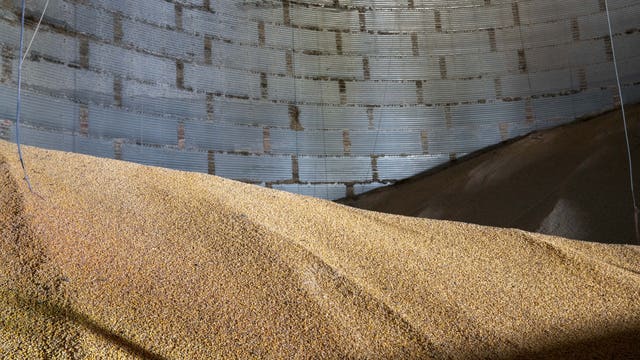 Worker dies after being trapped in grain bin in southern Minnesota