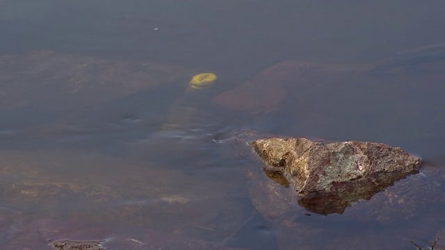 EPA to give $60M to 12 states to help curb water pollution