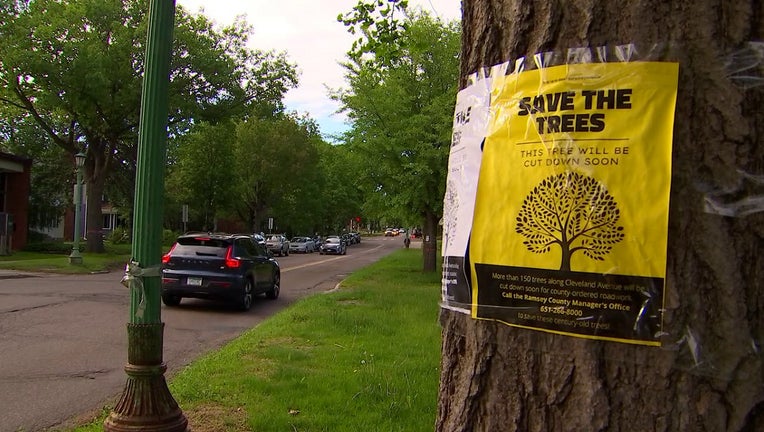 A sign reading "save the trees" on a tree
