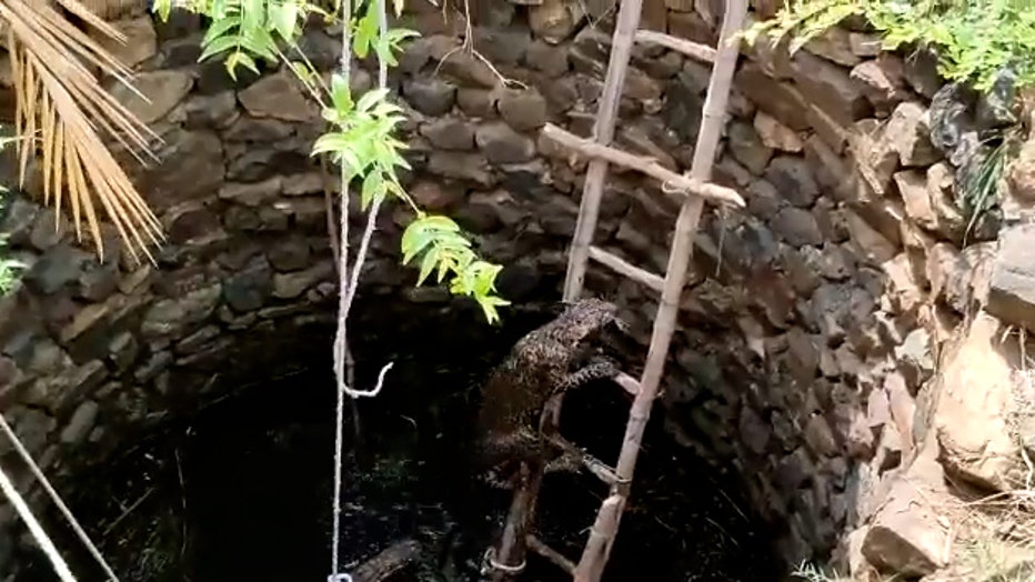 Storyful-274227-Ladder_Used_to_Rescue_Leopard_From_Well_in_India.00_00_51_07.Still002