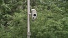 Minneapolis traffic cams: Where new speed cameras will be placed