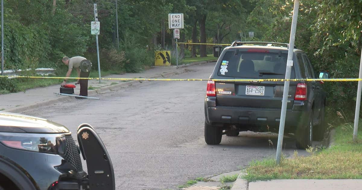 Minneapolis man hit, killed by vehicle during domestic dispute | FOX 9 ...