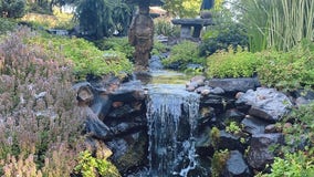 Minnesota Water Garden Society's annual tour this weekend