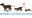 Canine influenza: Animal Humane Society to reopen 1 location with limited services after outbreak