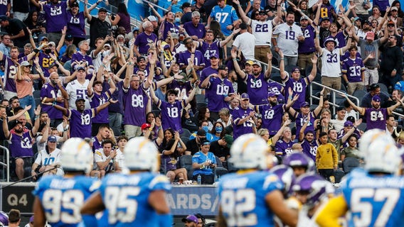 Skol! Minnesota sports license plate designs will soon be available for fans