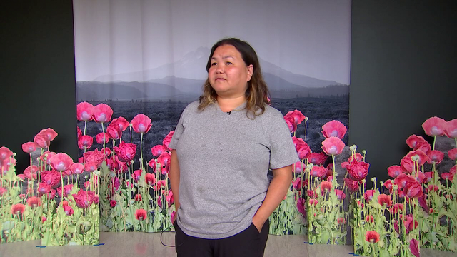 Pao Houa Her gallery coming to Walker Art Center