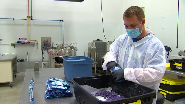 Minnesota edible businesses riding high thanks to new THC law