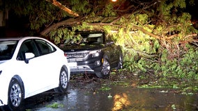 5 tornadoes confirmed across Dakota County, Ramsey County