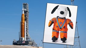 Snoopy returning to space as ‘zero-G indicator’ on Artemis I flight