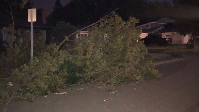Overnight storm damage in Minnesota: Fires, toppled trees, power outages