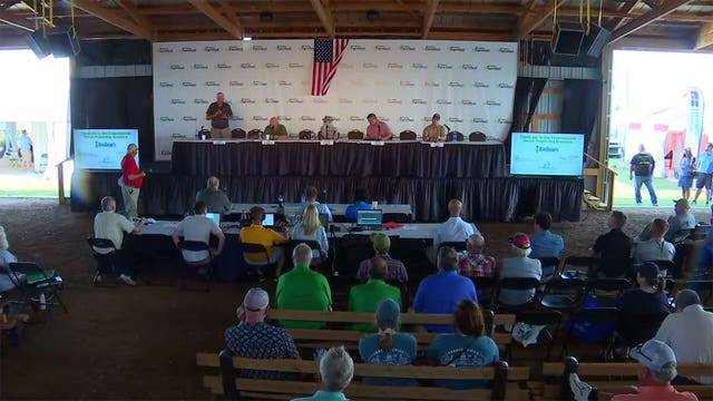 In southern Minnesota, a special election for Congress lurches to the finish