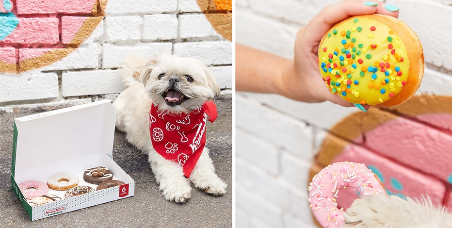 doggy donuts krispy kreme