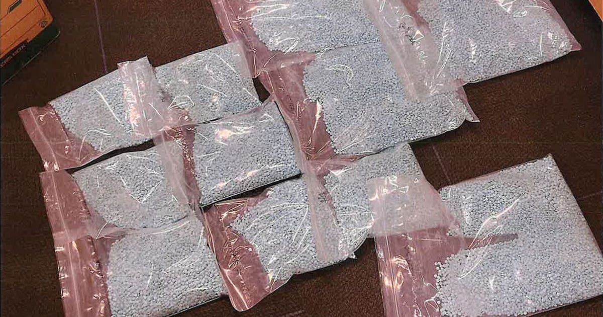108,000 fentanyl pills seized in massive Bloomington PD drug bust | FOX ...
