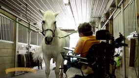 Minnesota horse therapy nonprofit holding annual benefit this weekend